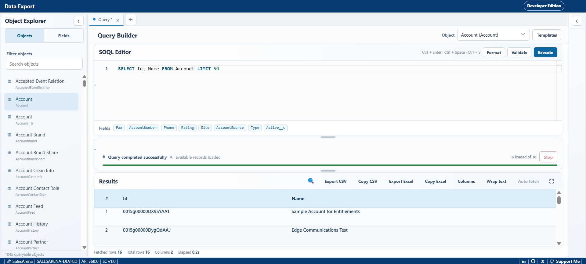 Data Export workspace showing a SOQL query and results table