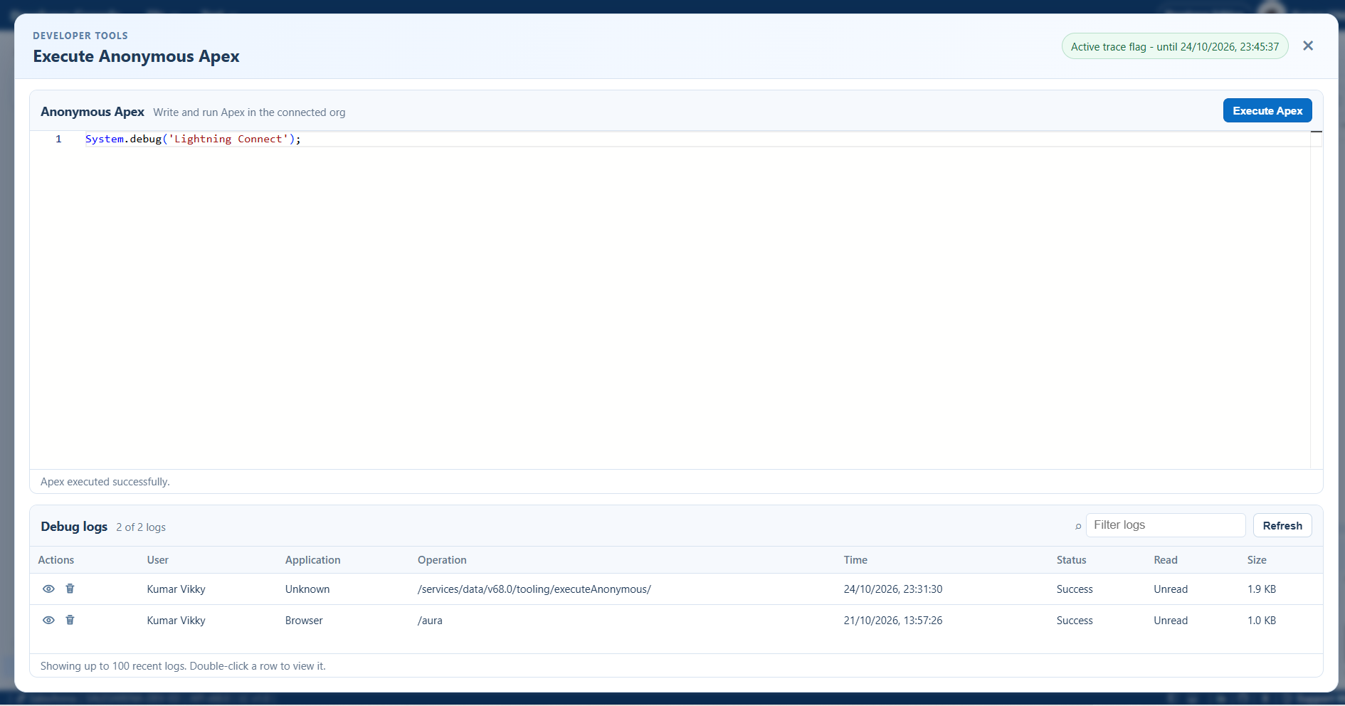 Developer Console Anonymous Apex