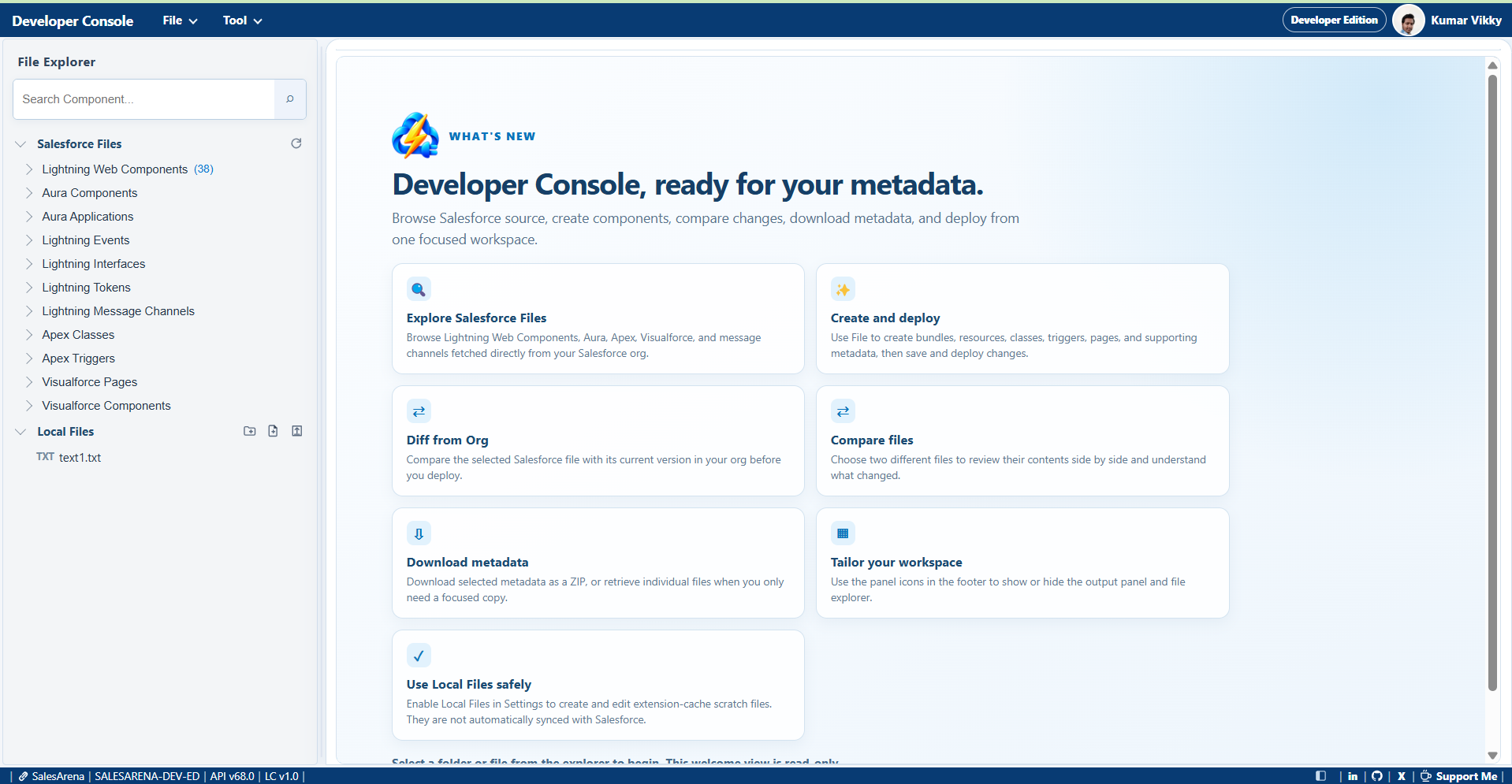 Developer Console welcome screen with Salesforce file explorer and development actions
